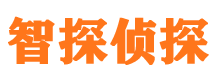 水富外遇调查取证